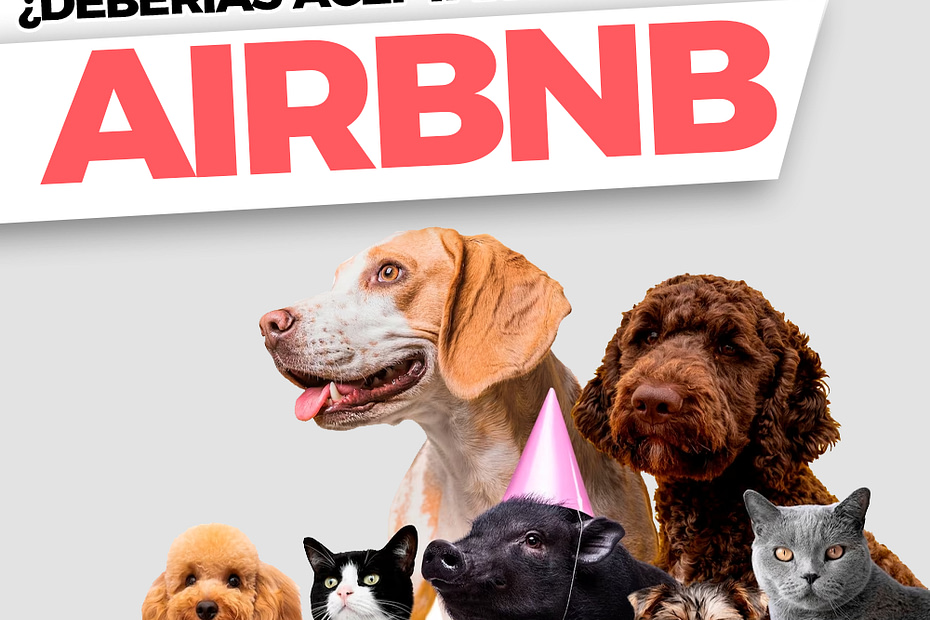 Deberías aceptar mascotas en tu Airbnb